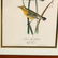 after John James Audubon (American, 1785‰ÛÒ1851), Two - 5