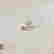 item-79404902=6