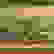 item-81291366=3