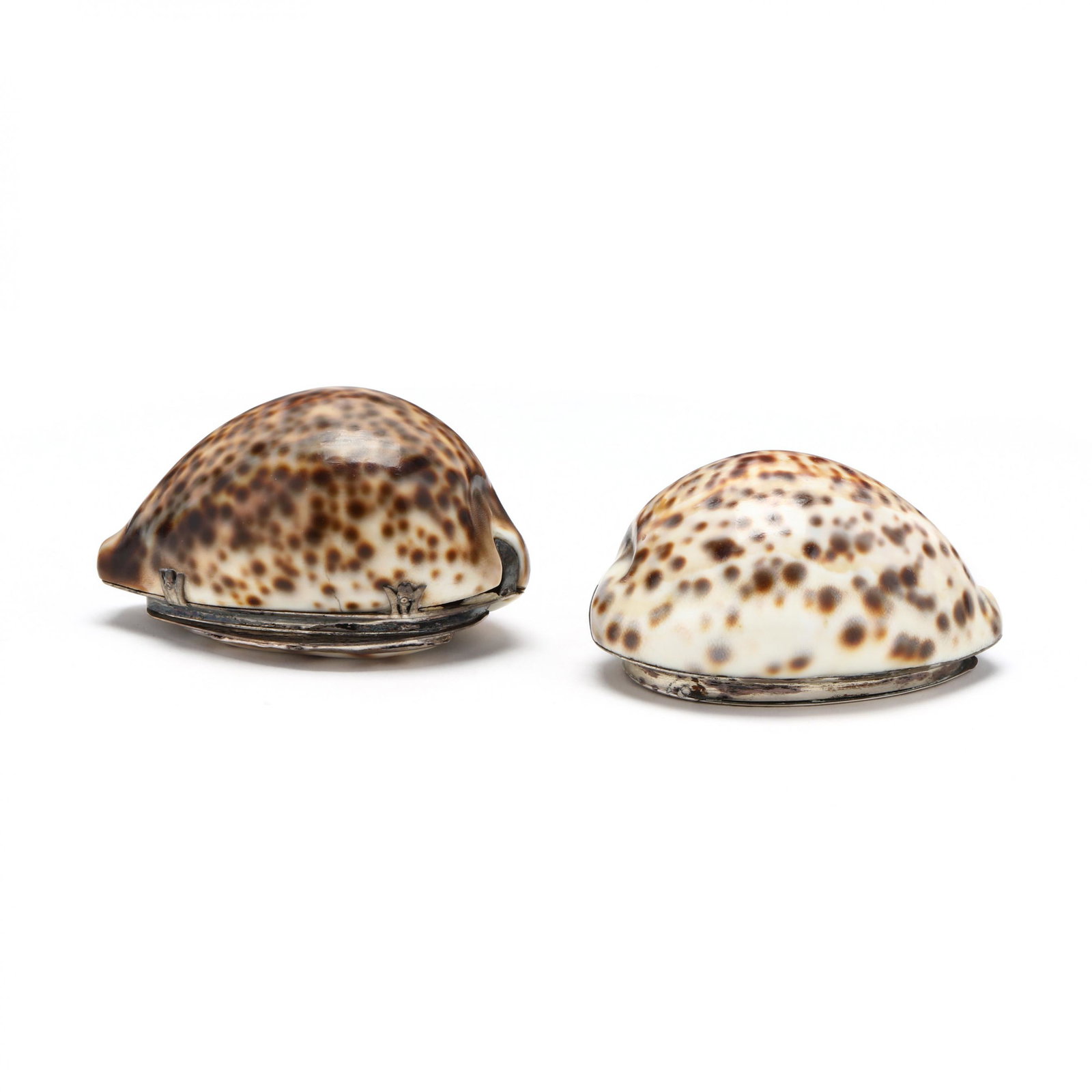 Two George III Silver Mounted Cowrie Shell Snuff Boxes: Two George III Silver Mounted Cowrie Shell Snuff Boxes both circa 1800; the first with flush hinged cover featuring period script monogram and prick work engraving, "IG" sponsor's mark (LOA 3 3/8 in.)