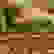 item-89780516=2