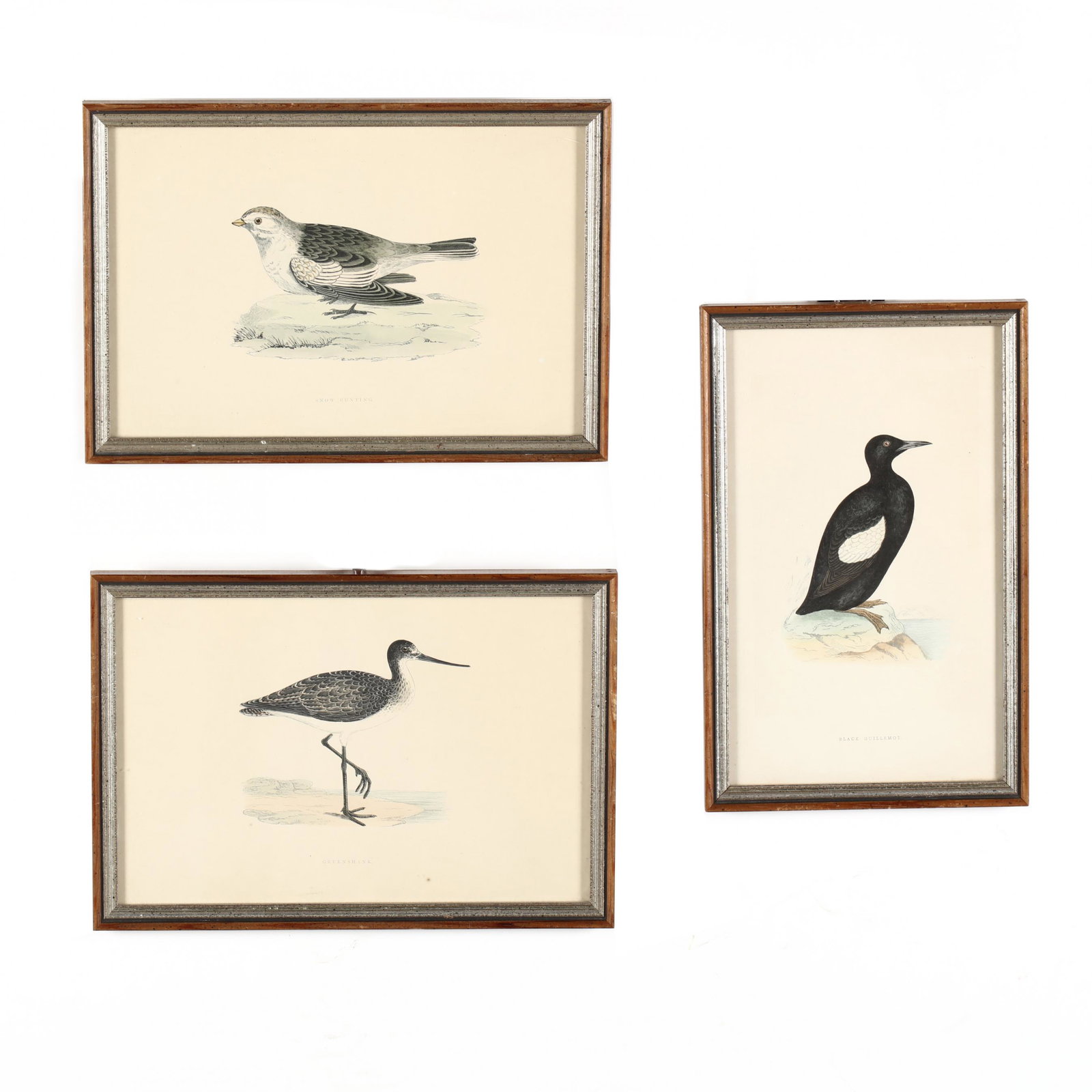 Group of Antique Ornithological Works: Group of Antique Ornithological Works to include three framed prints from Francis Orpen Morris' fifth edition of A History of British Birds (1903), presented in uniform framing; to also include a port