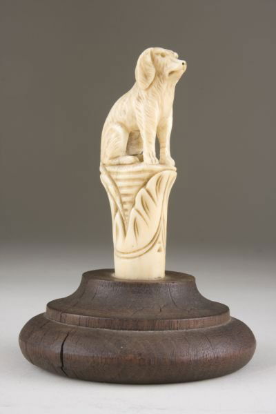 Carved Ivory Walking Stick Grip, 19th century: Carved Ivory Walking Stick Grip, 19th century a natural rendering of a seated dog; mounted to circular wooden base. Mellow old patina with one small age hairline on and under right hind paw.