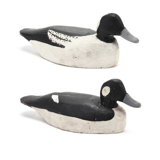 Miles Hancock, Bufflehead Pair