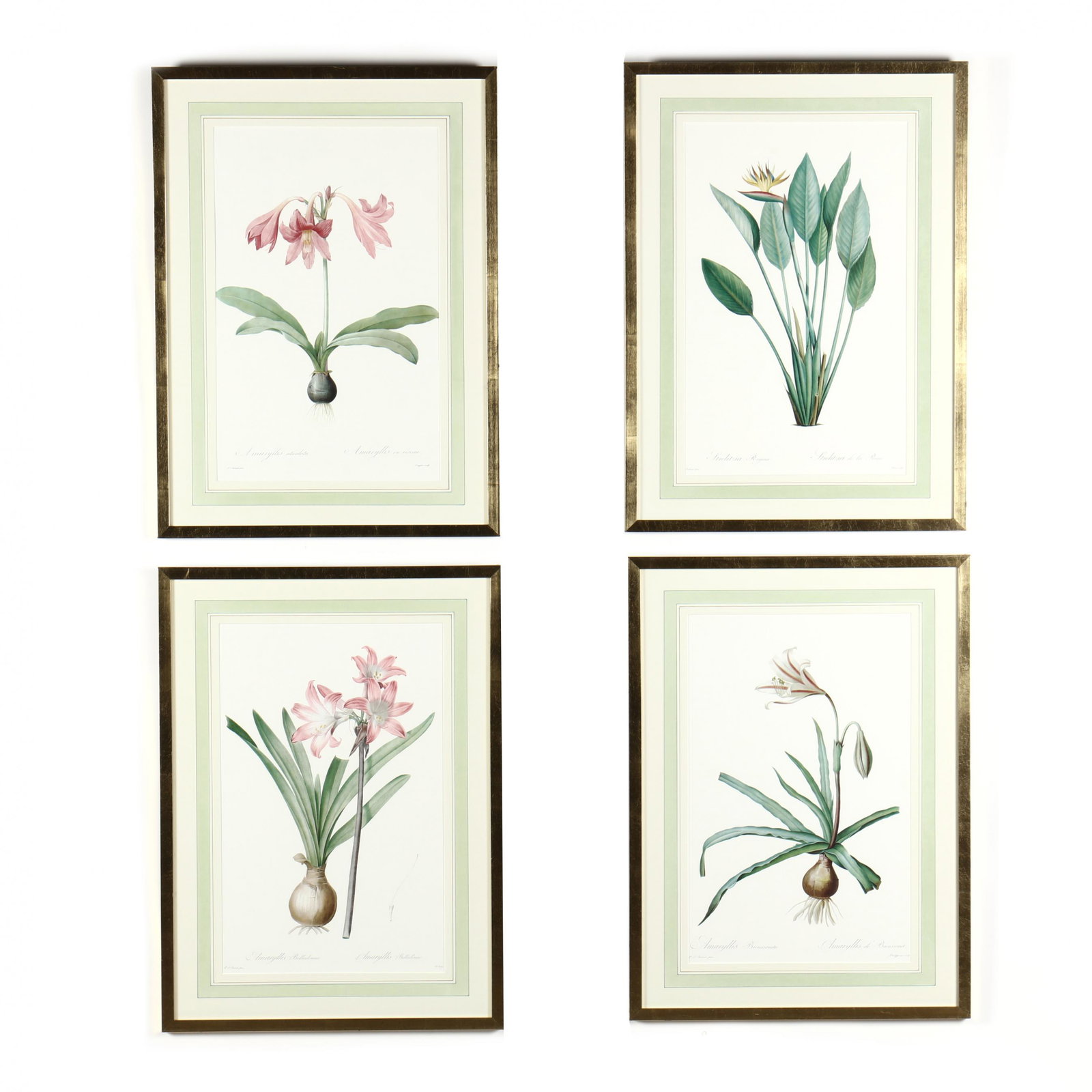 Group of Four Framed Botanical Prints after RedoutÃ© (1 of 8)