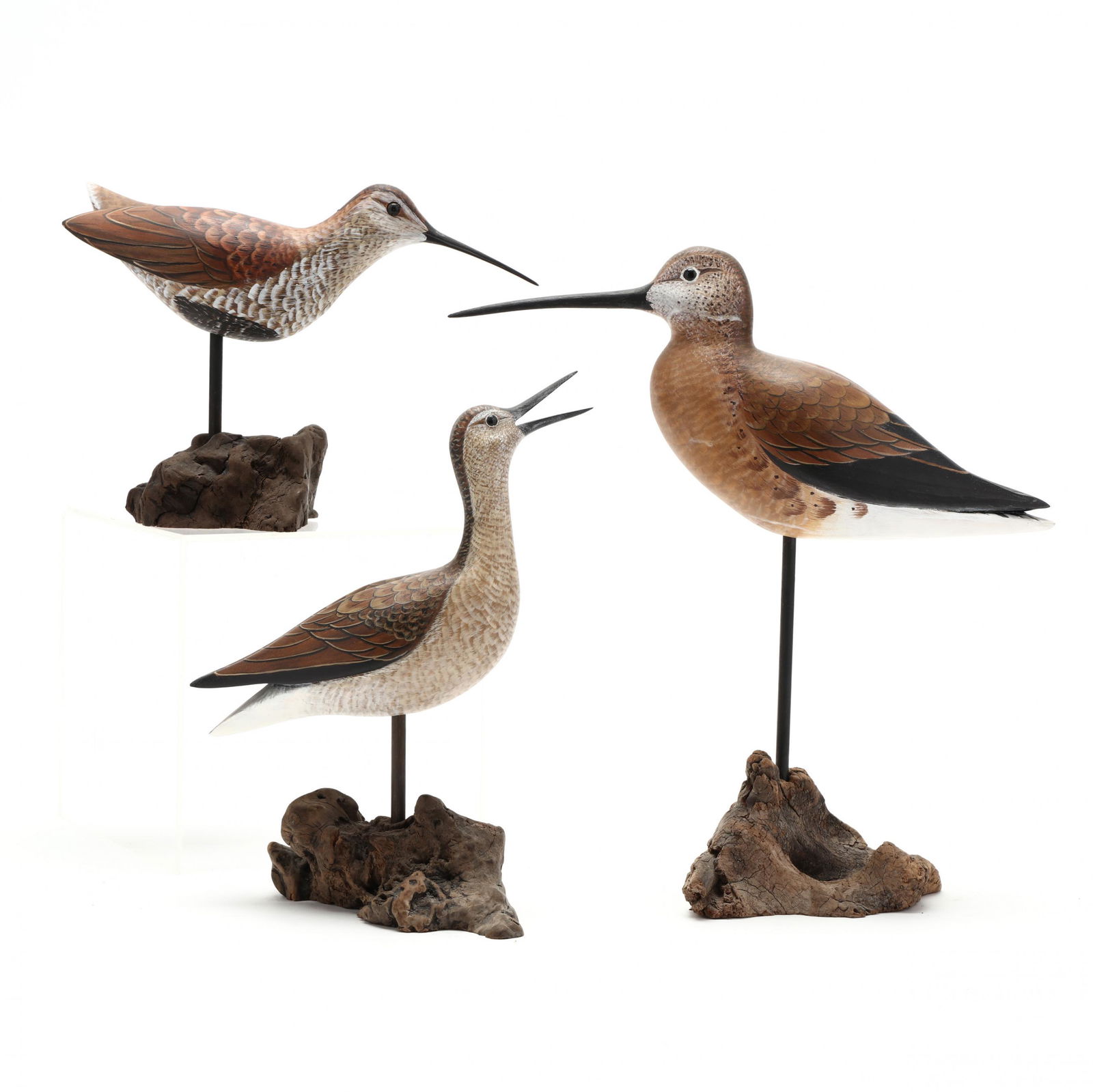 Three Painted Shorebirds (1 of 8)