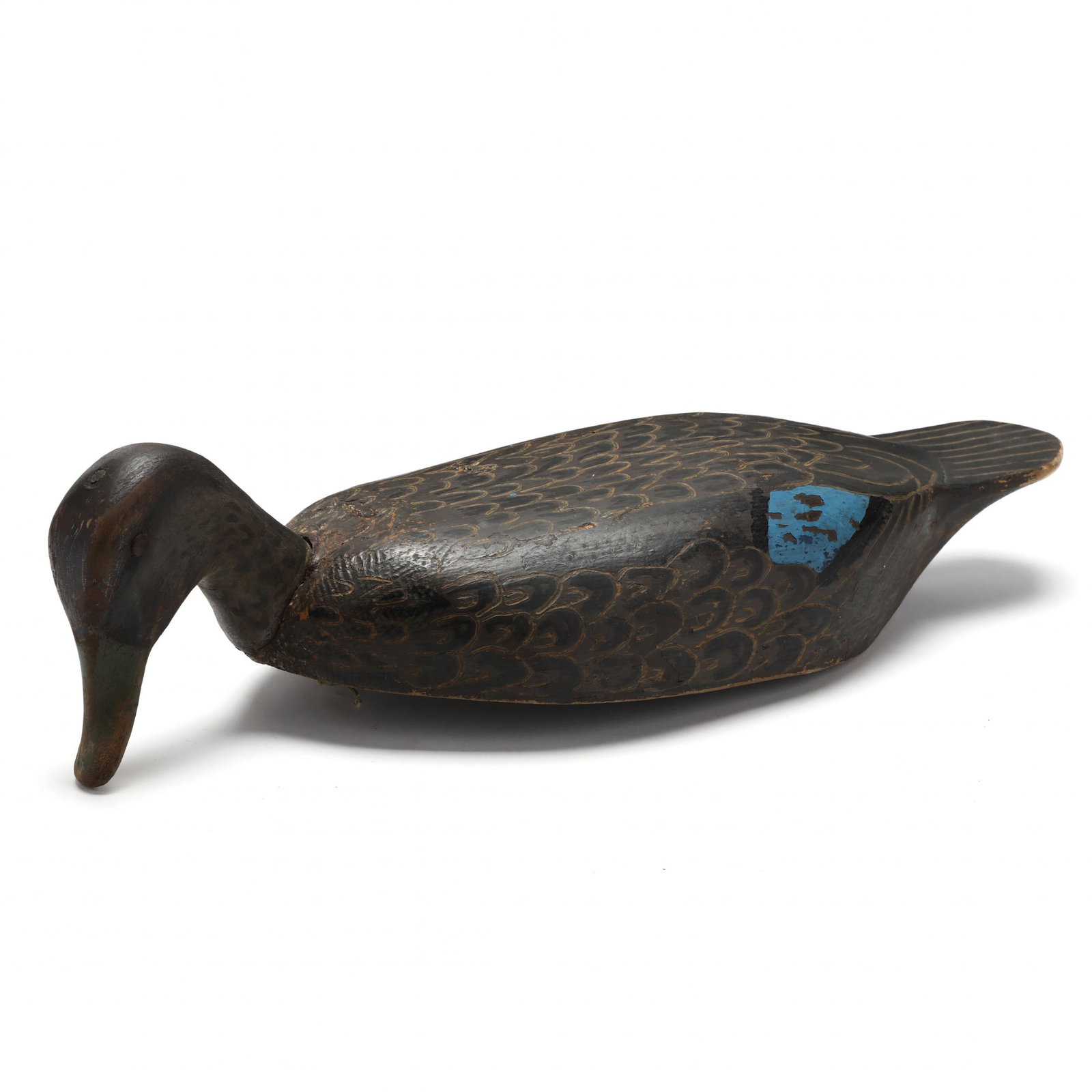 Ontario Feeding Black Duck (1 of 8)