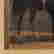 item-108410221=5