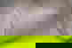 item-7799164=3