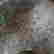 item-117195225=4