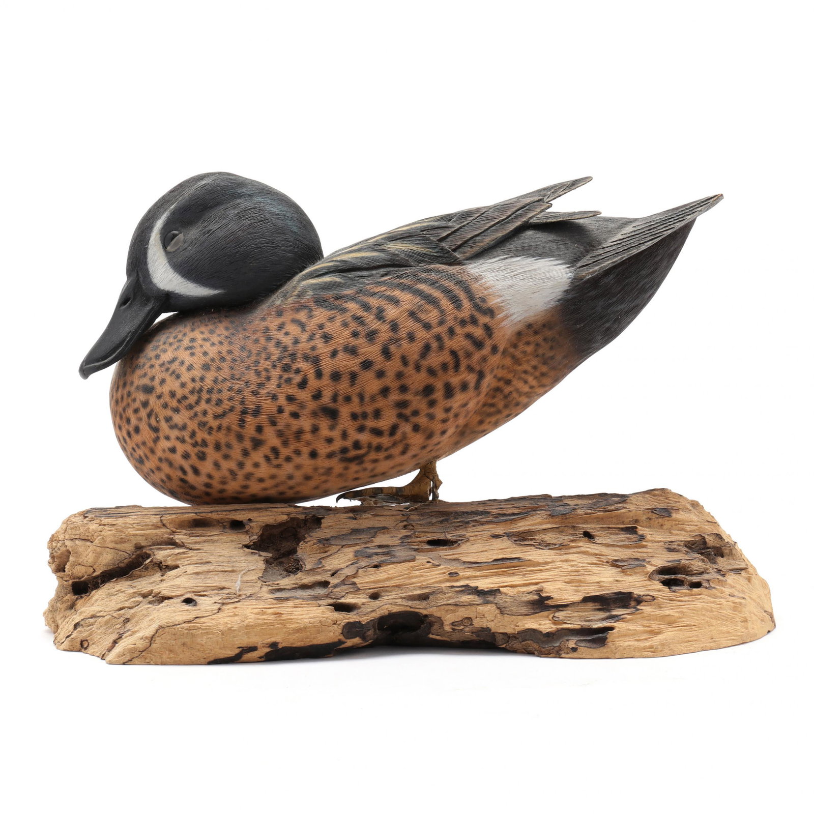 Ben Heinemann (NC), Blue Winged Teal (1 of 10)