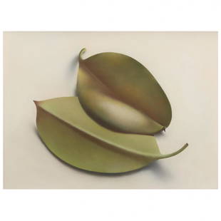 Robert Peterson (American, 1943-2011), Two Rubber Tree: Robert Peterson (American, 1943-2011), Two Rubber Tree Leavespastel on paper, monogrammed at upper right, 1989, float mounted and framed under Plexiglass. Sheet size 21 1/2 x 28 7/8; Frame dimensions