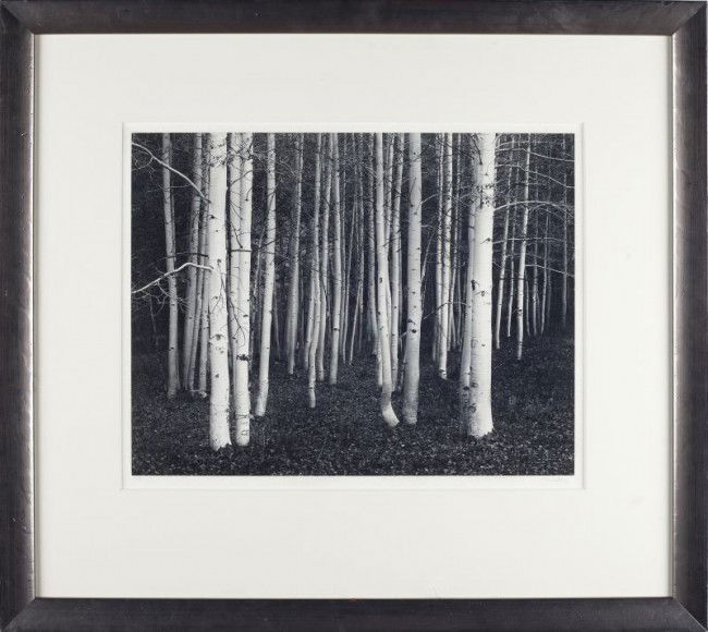 John Sexton (American, b. 1953), "Aspens, Dusk": John Sexton (American, b. 1953), "Aspens, Dusk" black and white photograph, taken at Conway Summit in Bishop, California; signed and dated along lower margin, mounted, matted, and framed under glass.