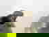 item-1047566=3