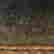 item-129083702=2