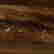 item-129083709=4