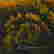 item-129083852=2