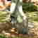 item-137102639=12