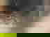 item-1184725=3