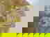 item-1184764=2