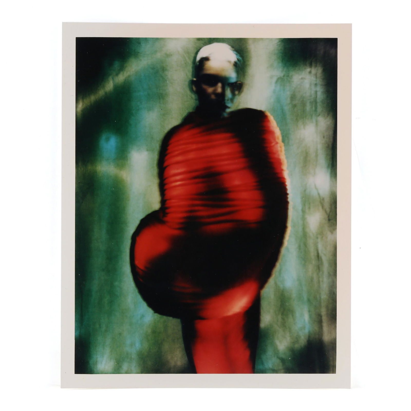 値引き可】パオロ・ロベルシ写真集: PAOLO ROVERSI: BIRDS