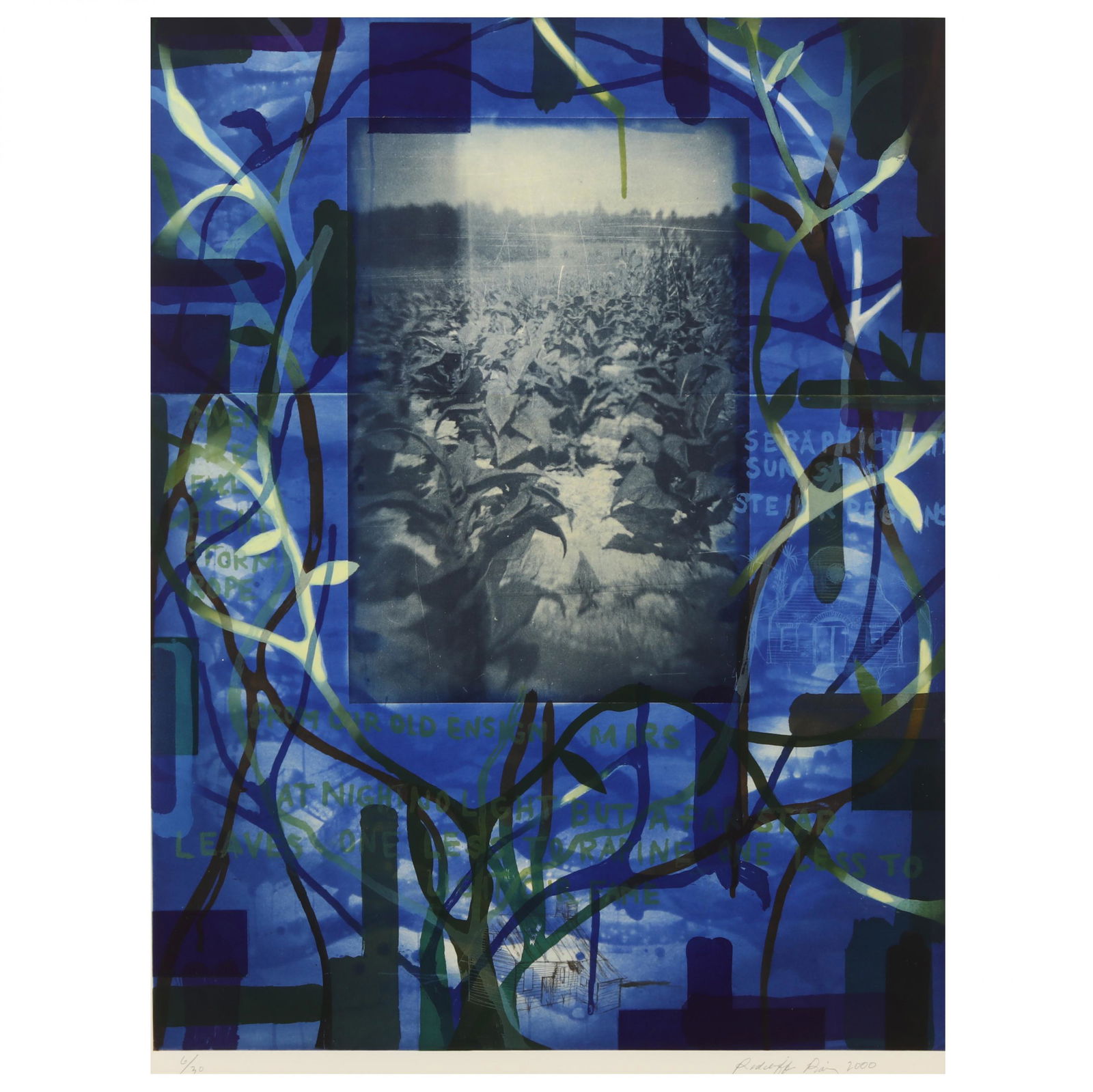 Radcliffe Bailey (American, b. 1968), Tobacco Blues: Radcliffe Bailey (American, b. 1968), Tobacco Bluesetching and aquatint in colors with photogravure and chine-collÃ©, 2000, pencil signed, dated, and numbered 6/30 lower margin, published by Paulson
