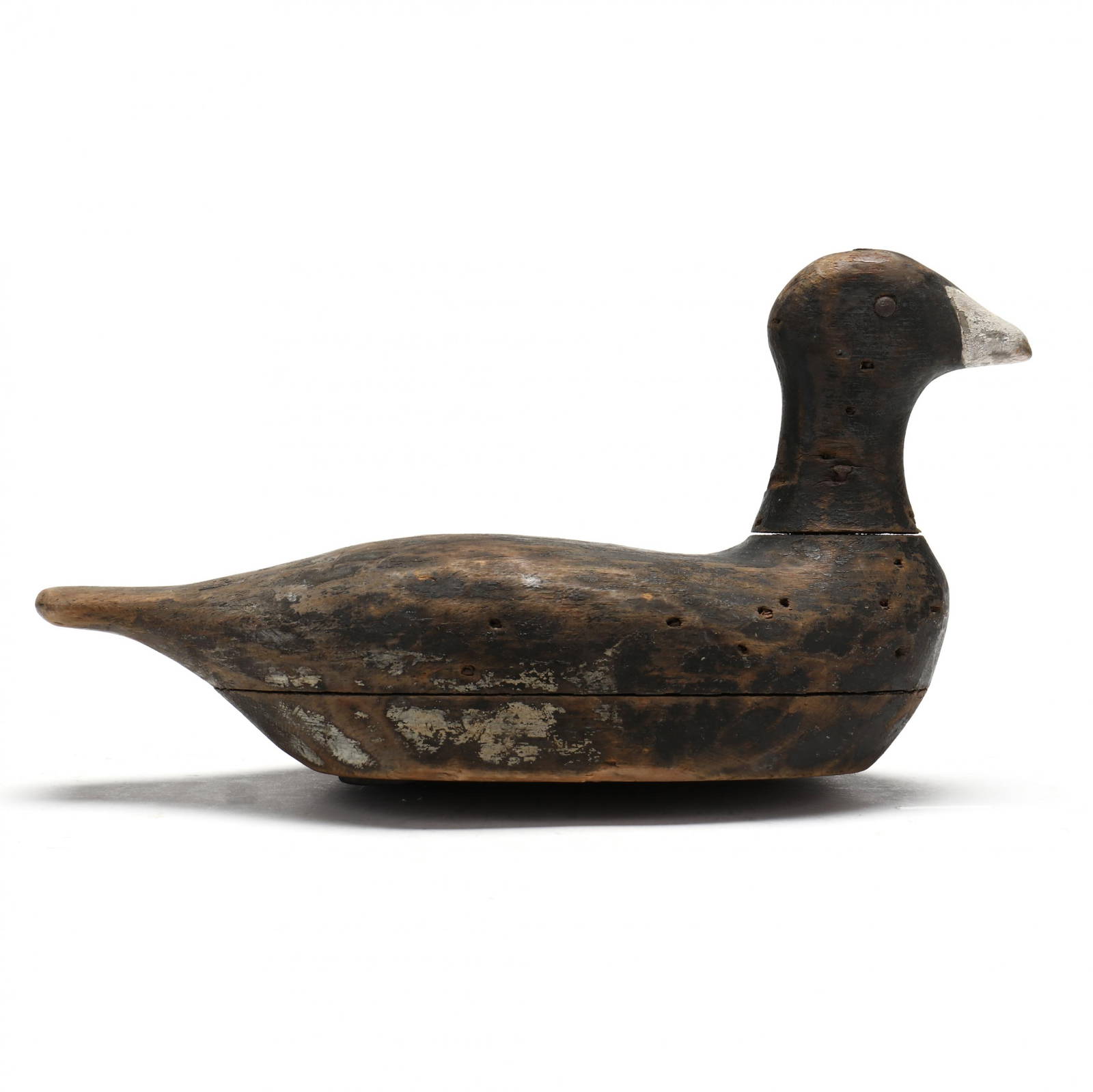 Knotts Island (nc), Coot Auction