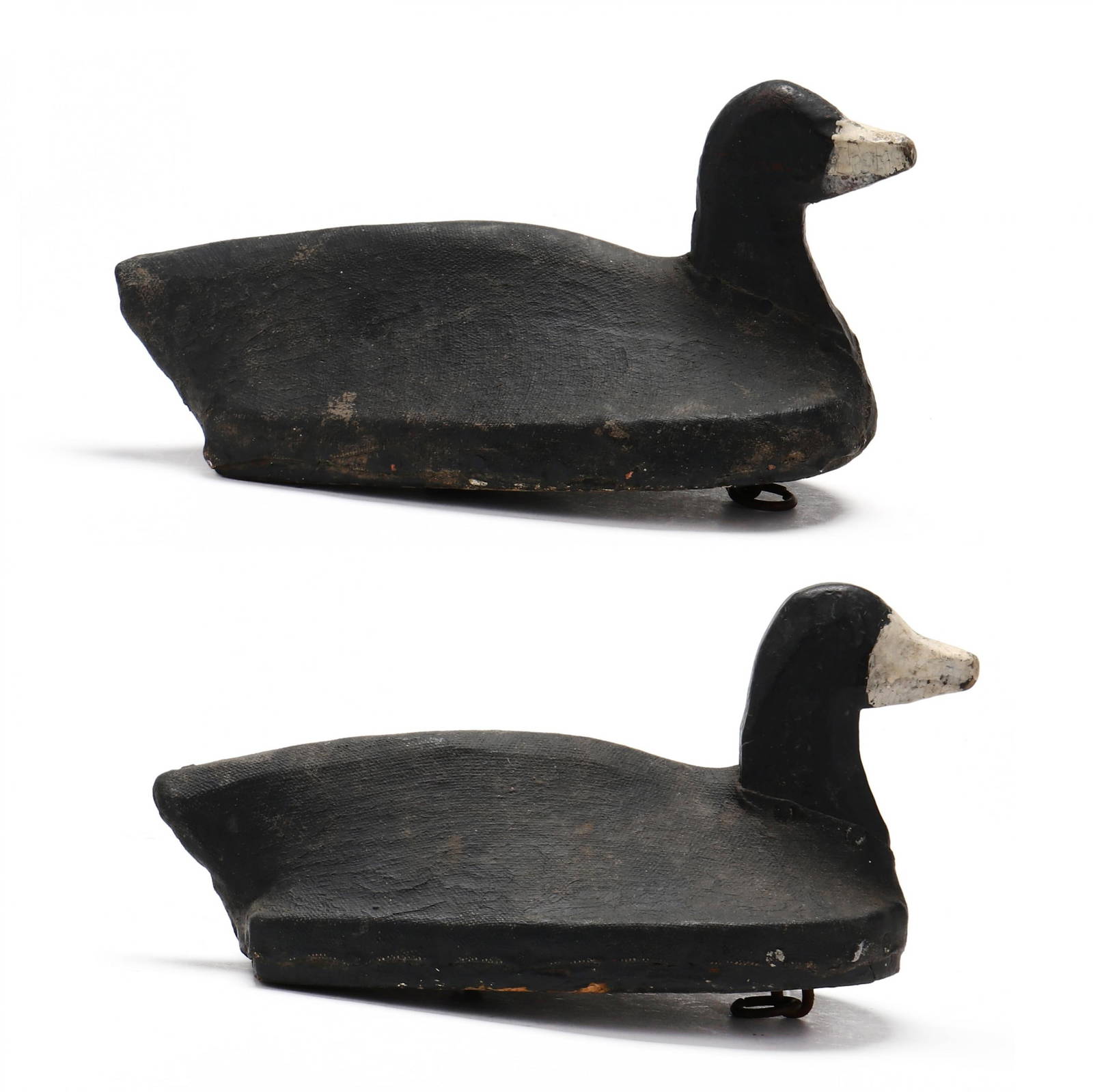 M.r. Mathias (va), Coot Pair Auction