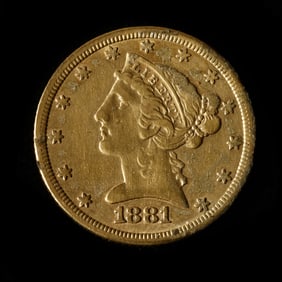 Damaged 1881 $5 Gold Half Eagle, Fine Details