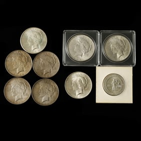 Eight (8) Peace Dollars and a Columbia, SC Commemorative Half Dollar