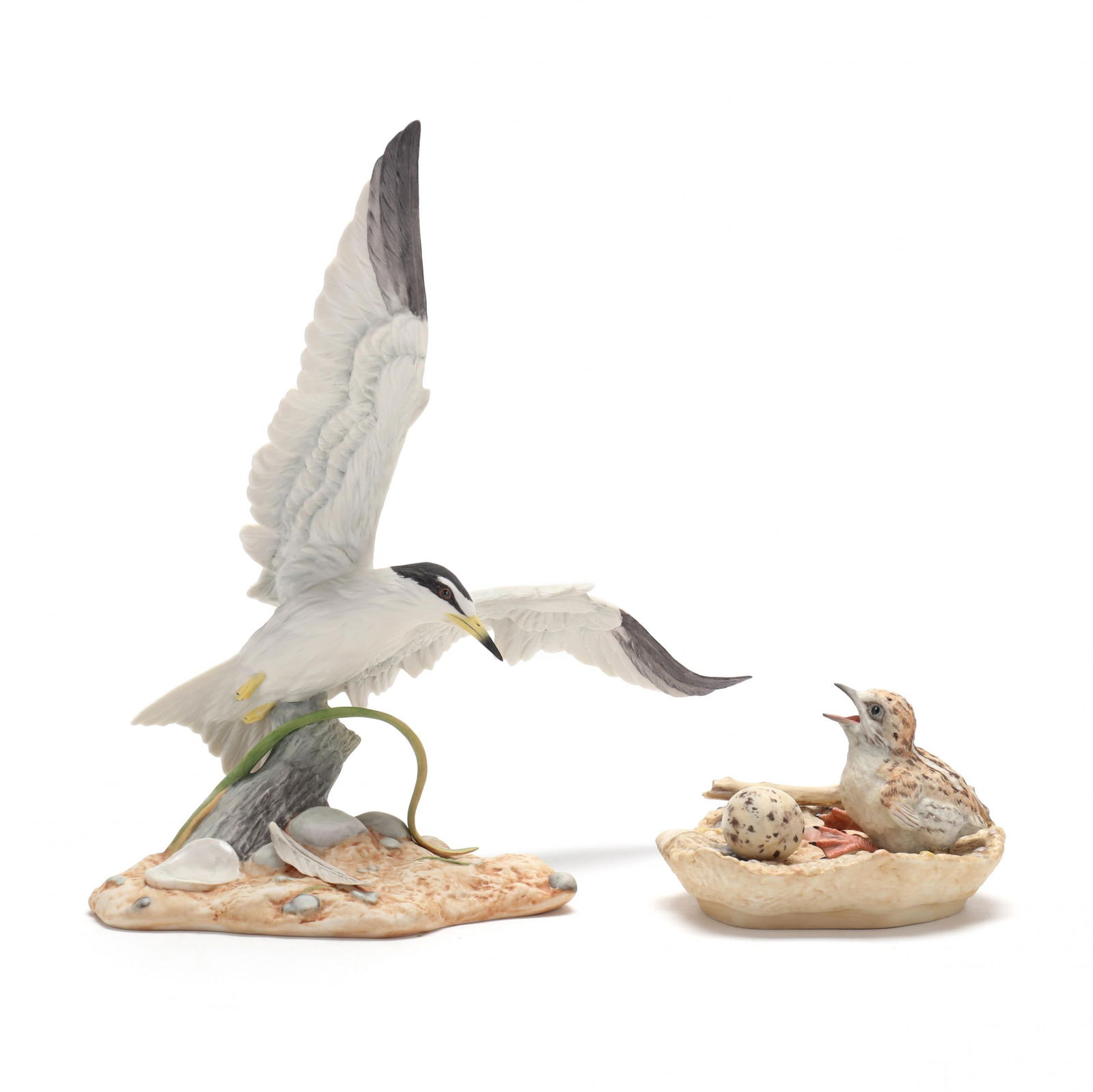 Boehm Porcelain,  Least Tern  and  Least Tern Nest (1 of 10)