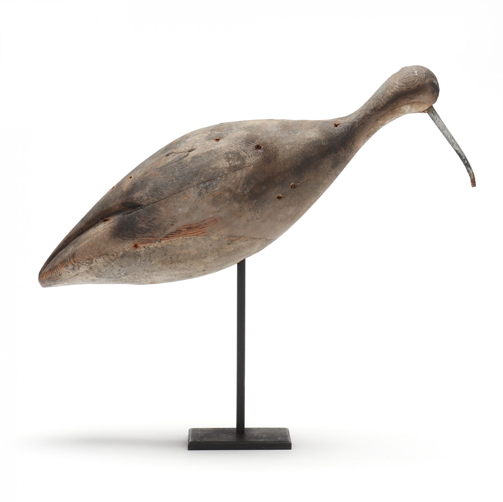 Early Parramore Island Curlew (1 of 6)