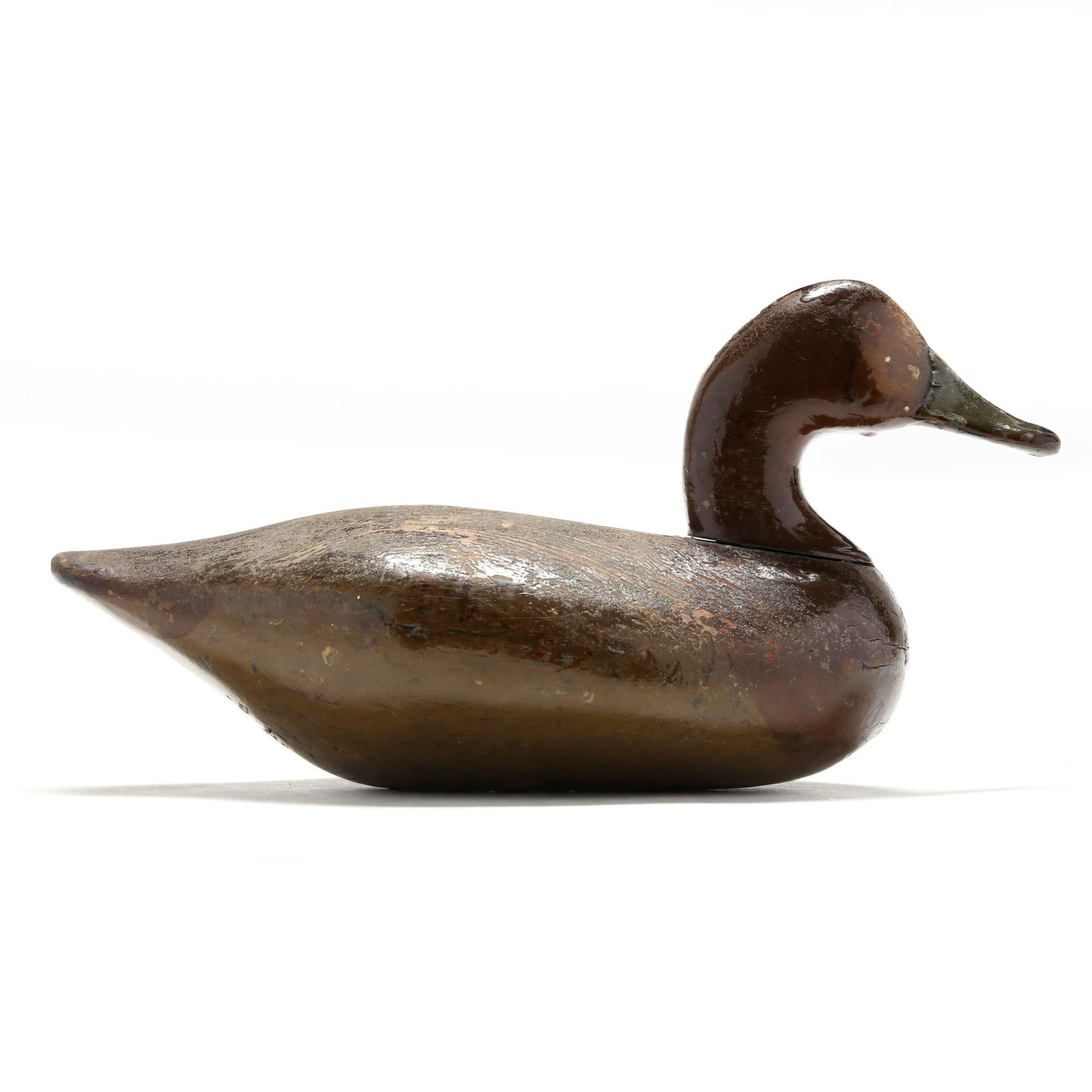 Lemke Family (WI), Hen Redhead (1 of 8)