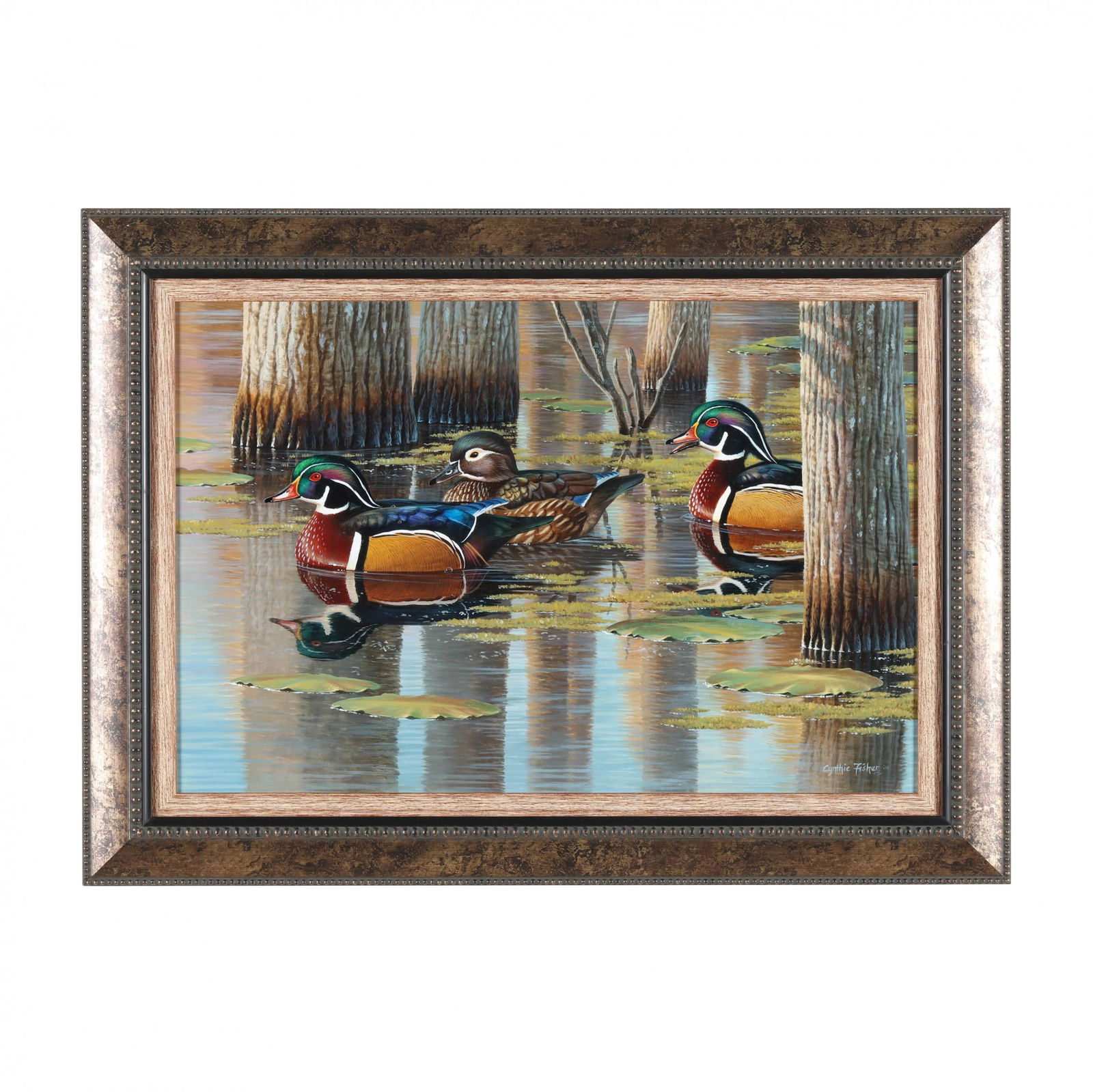 Cynthie Fisher (American), Swimming Wood Ducks (1 of 5)