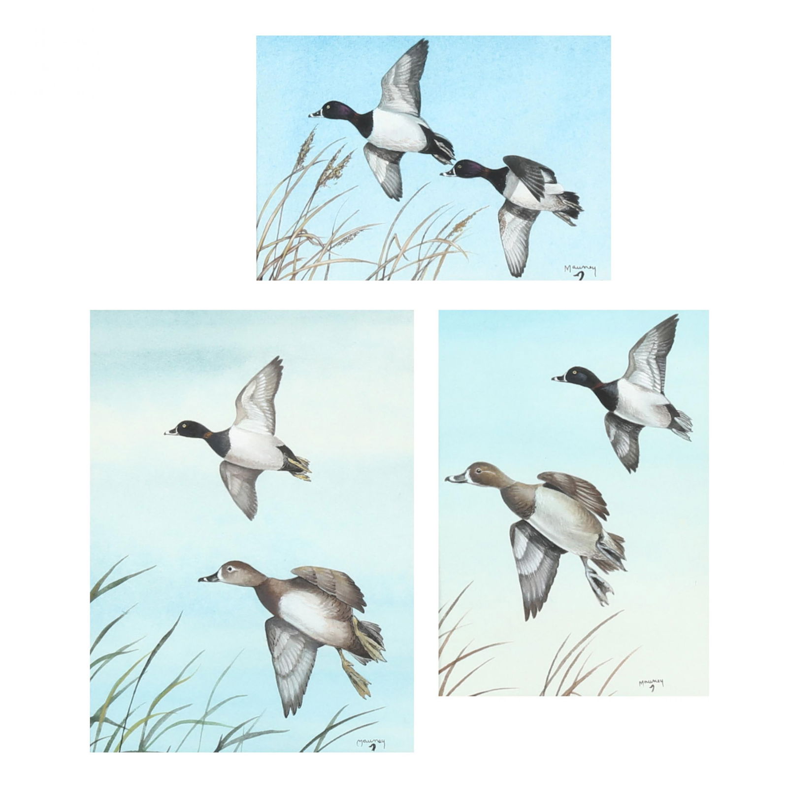 Lee Mauney (American), Ring-Necks Flying (Three Works) (1 of 8)