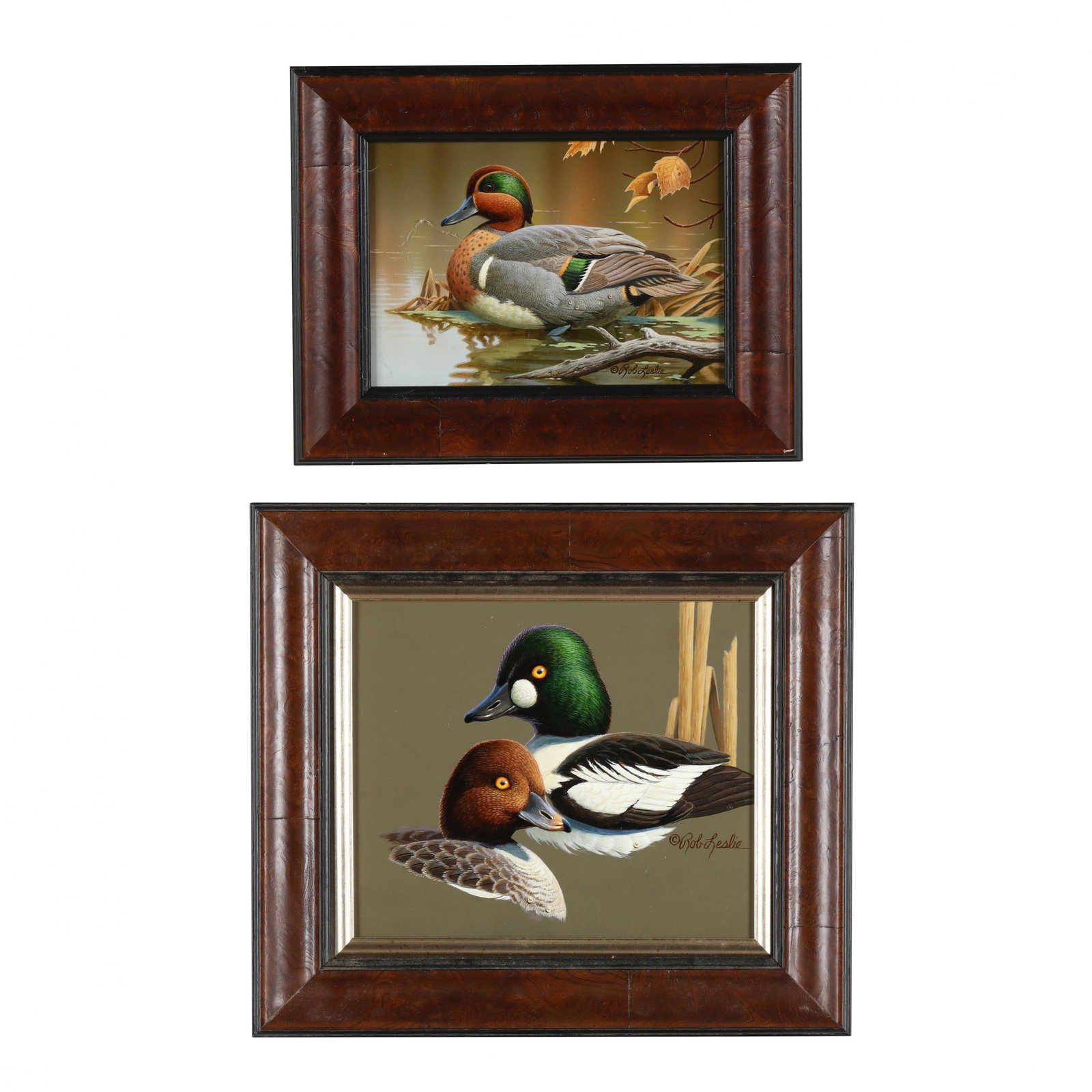 Rob Leslie (American, b. 1947),  Goldeneye Study / Green Wing Vignette  (Two Works) (1 of 9)