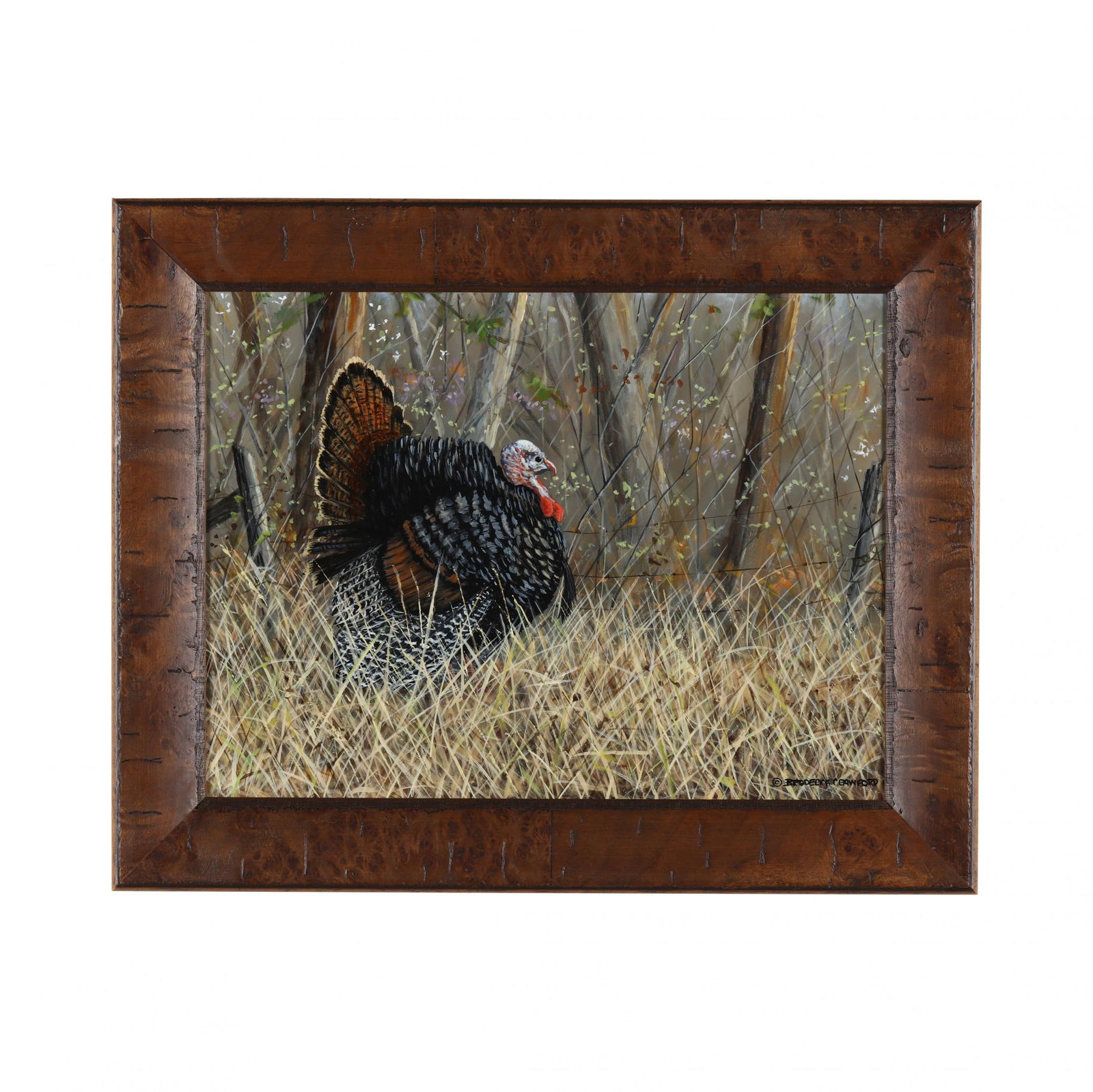 Broderick Crawford (American), Turkey (1 of 5)