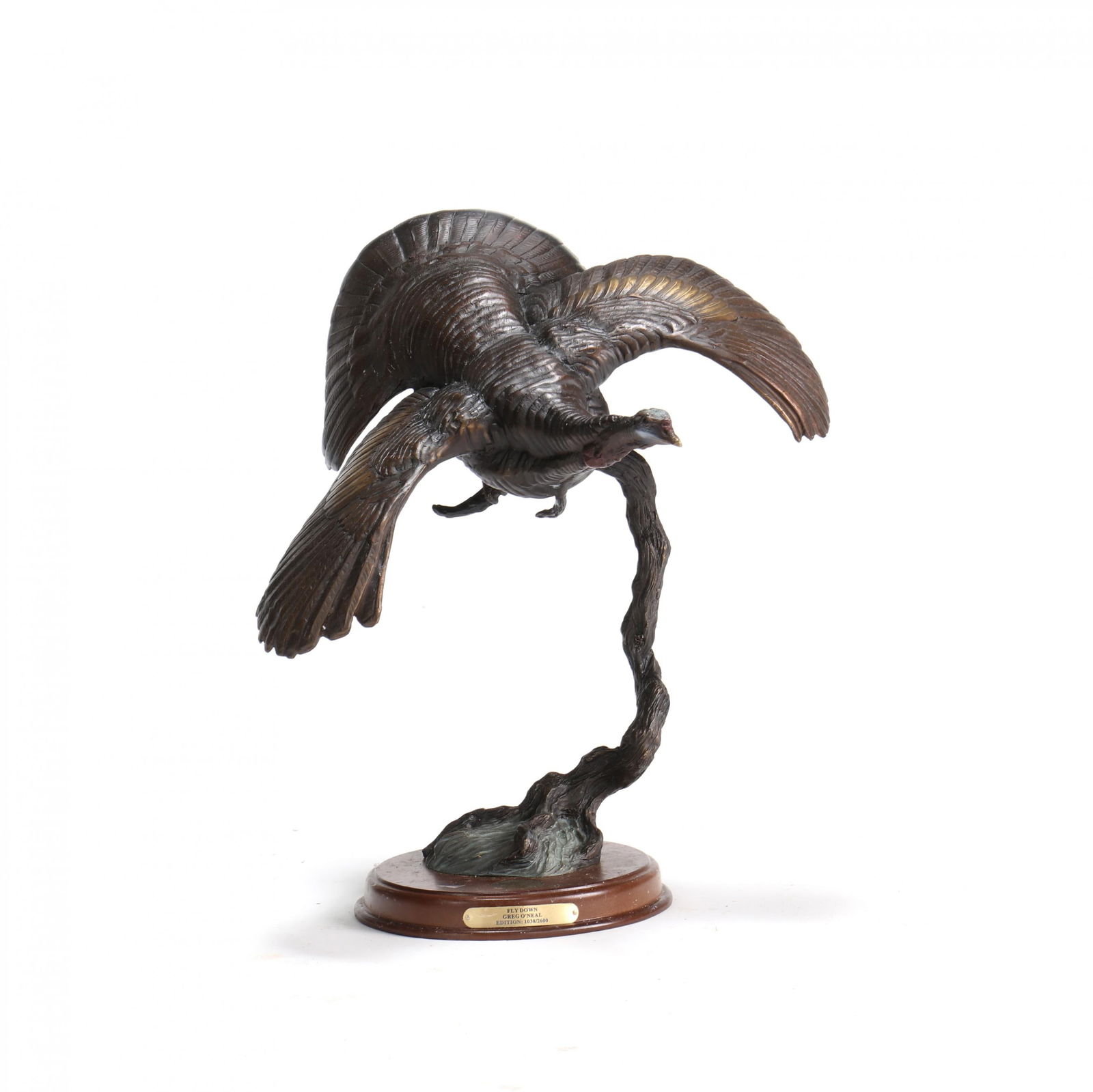 Greg O'Neal (American, 20th -21st century), NWTF  Fly Down (1 of 10)