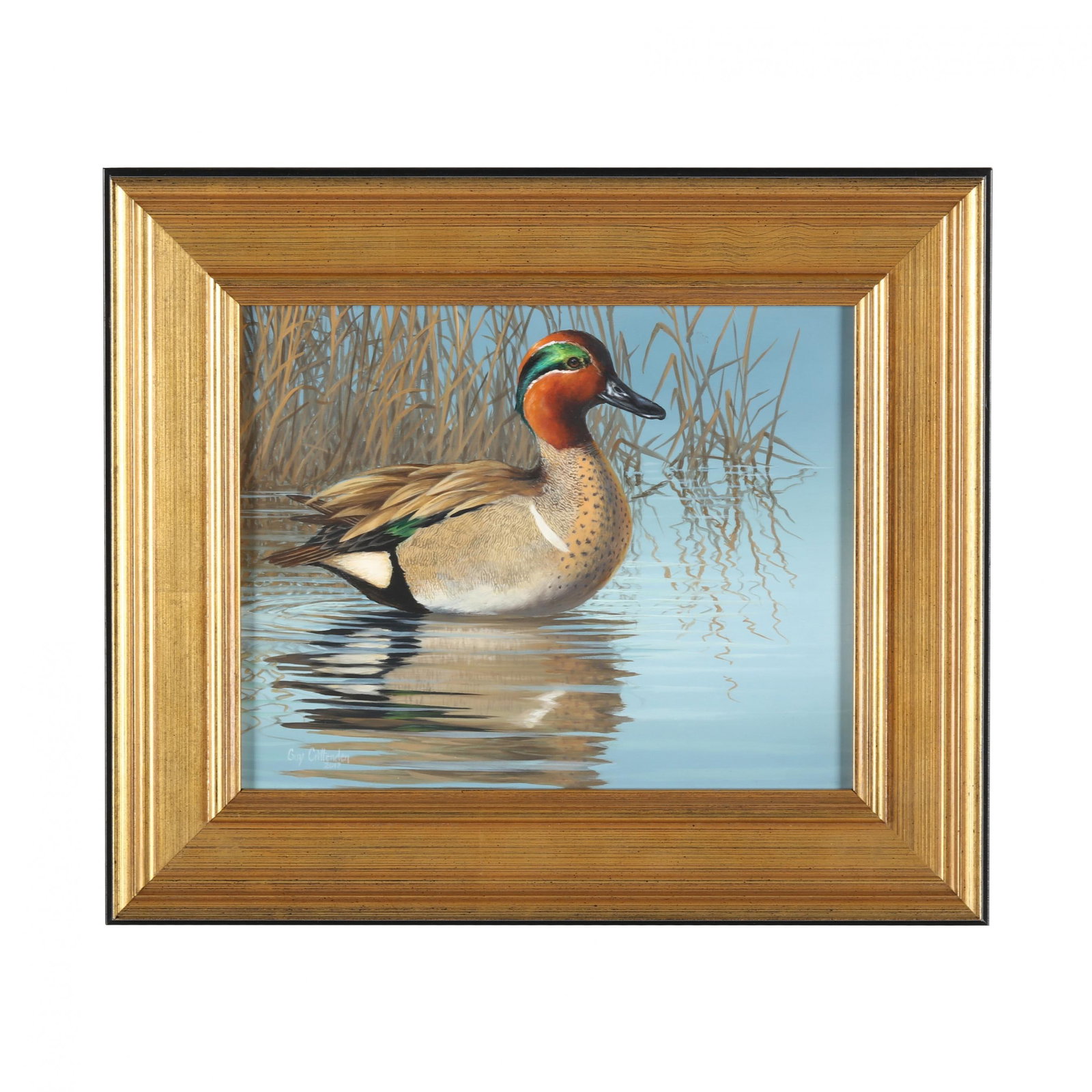 Guy Crittenden (American),  Greenwing Teal Drake (1 of 5)