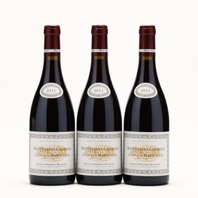 Nuits-Saint-Georges - Vintage 2011