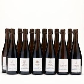 Beautiful Ruppert-Leroy Champagne Collection