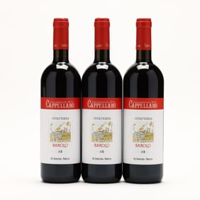 Barolo - Vintage 2011