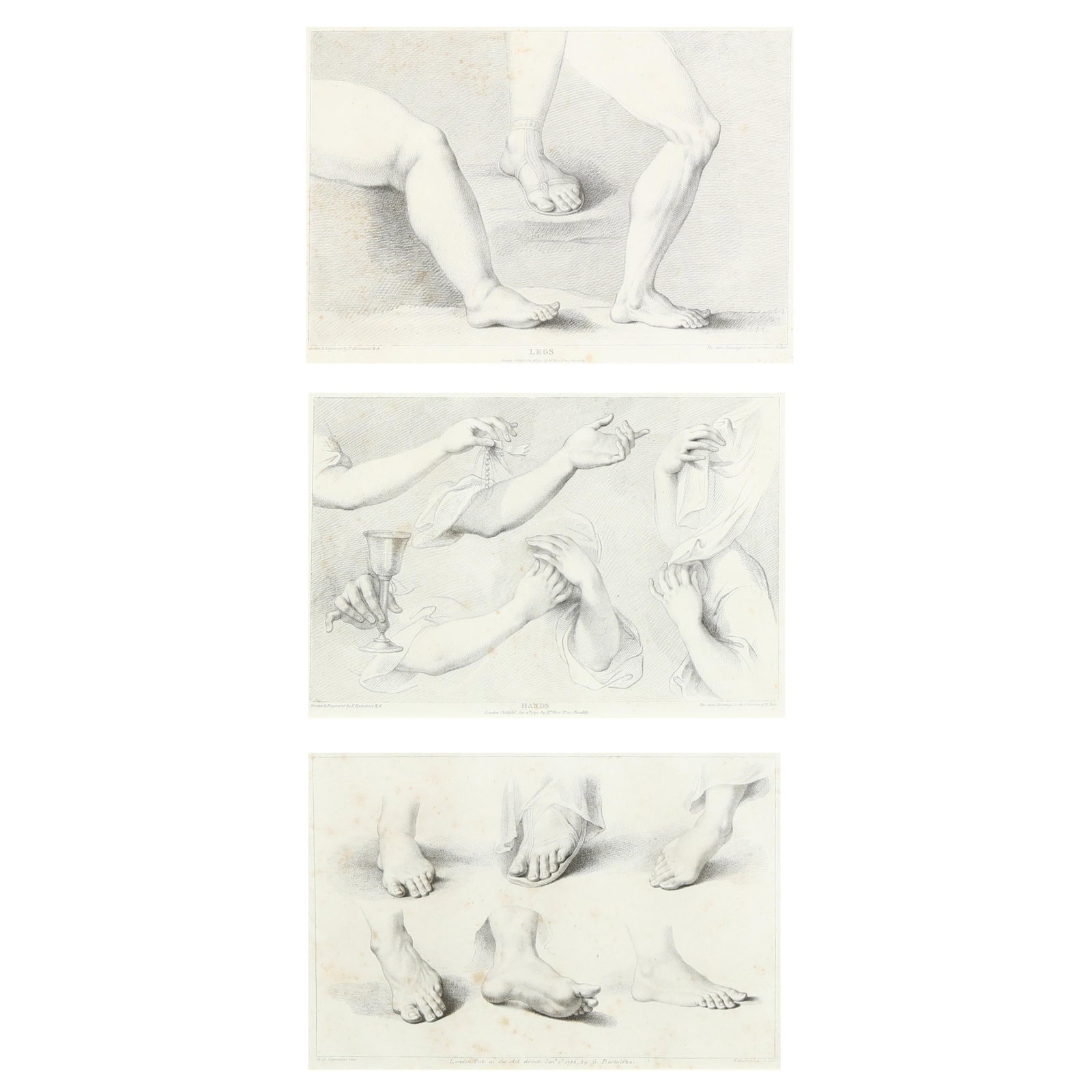 Francesco Bartolozzi (Italian, 1725-1815), Three Engraved Studies: Francesco Bartolozzi (Italian, 1725-1815), Three Engraved Studies each a stipple engraving on paper, including (2) studies of Legs and Hands after Mariano Bovi (Italian, 1757-1813), each published 179