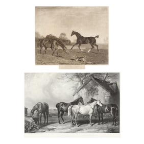 English School (19th Century), Two Engravings of Horses
