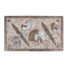 A Stone Table Top With Fossilized Goniatites and Orthoceras