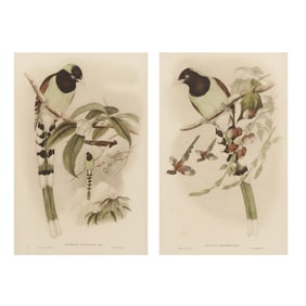 After Gould and Richter, Pair of Framed Magpie Prints