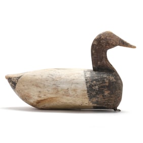 Wallace O'Neal, Sr. (NC, 1867-1955), High head Canvasback