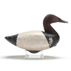 Charlie Waterfield (VA, 1881-1973), Published Canvasback