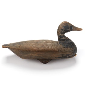 Ned Burgess (NC, 1868-1958), Hen Bluebill