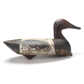 Solomon Beasley (NC, 1850-1935), Canvasback